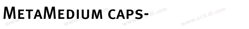 MetaMedium caps字体转换